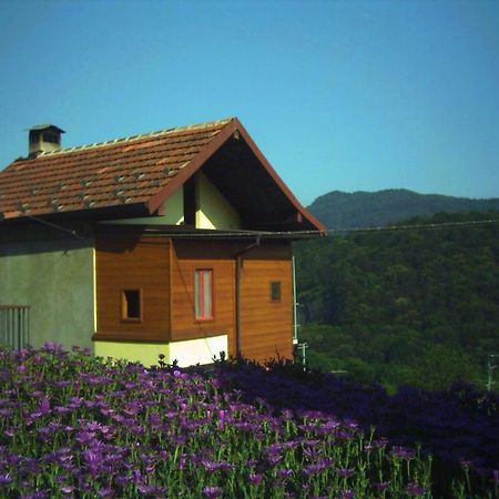 B&B Cip E Ciop Miazzina Εξωτερικό φωτογραφία