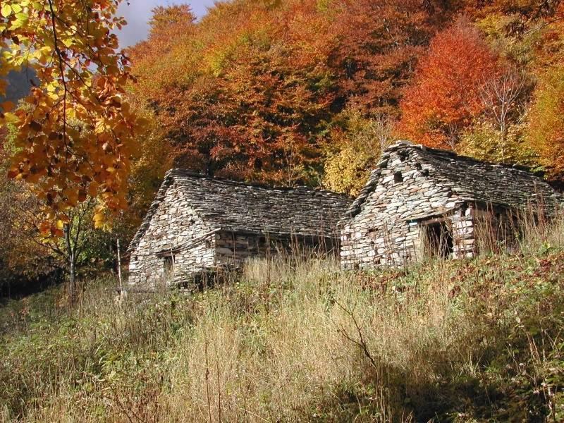 B&B Cip E Ciop Miazzina Εξωτερικό φωτογραφία